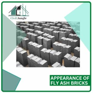 Appearance of Fly Ash Bricks
