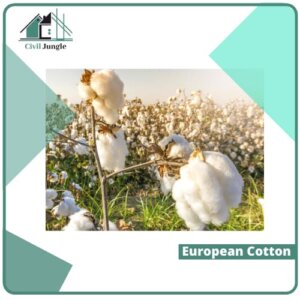 European Cotton