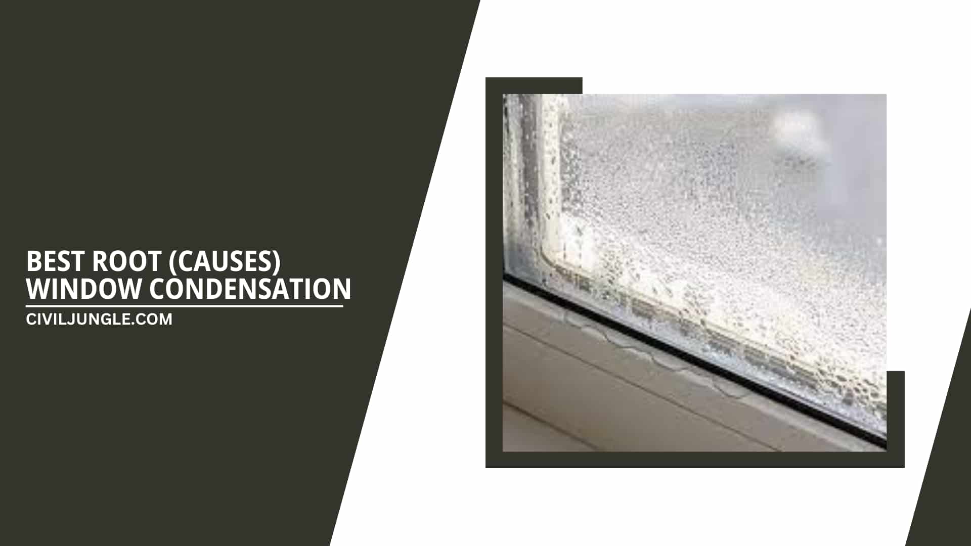 Best Root (Causes) Window Condensation