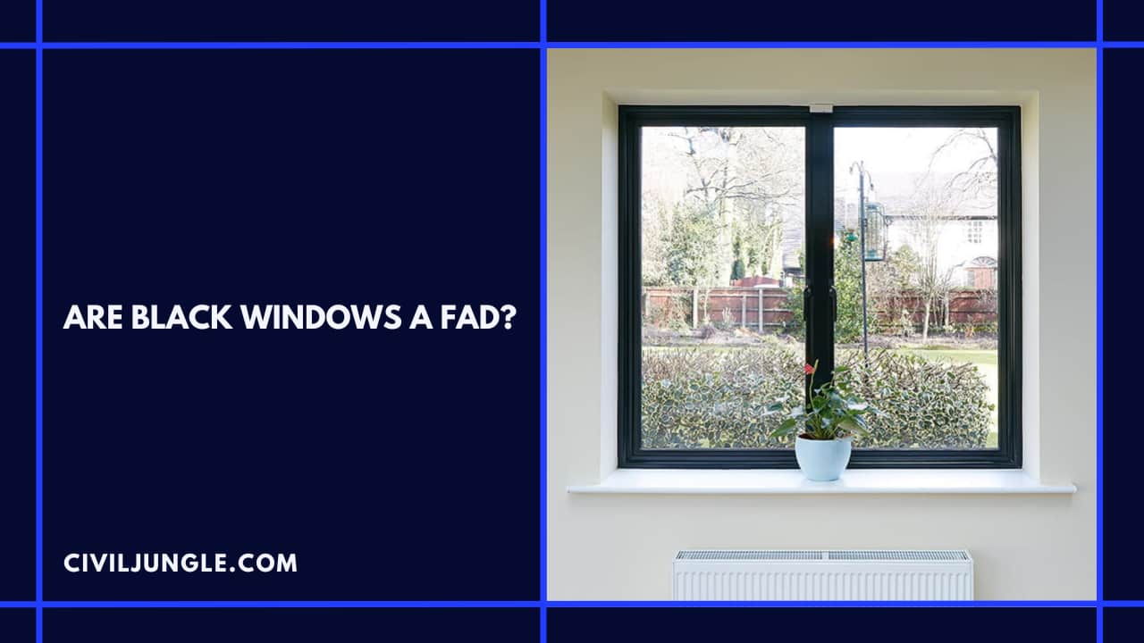 Are Black Windows a Fad?