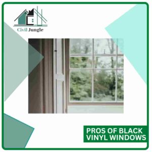 Pros of Black Vinyl Windows