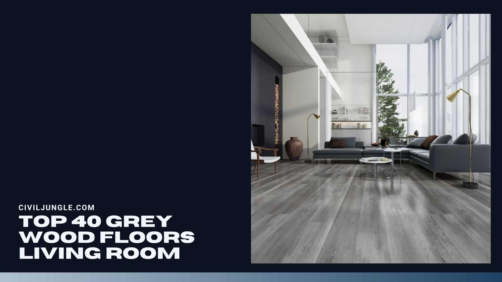 Top 40 Grey Wood Floors Living Room