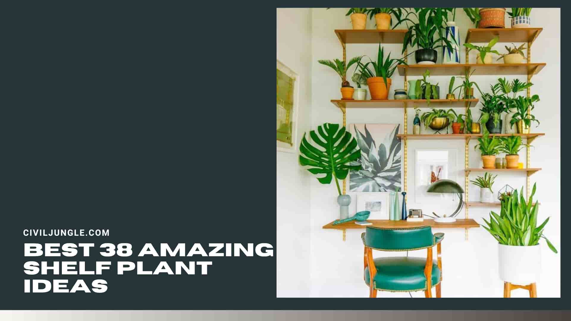 Best 38 Amazing Shelf Plant Ideas